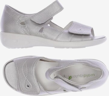 WALDLÄUFER Sandals & High-Heeled Sandals in 35,5 in Grey: front