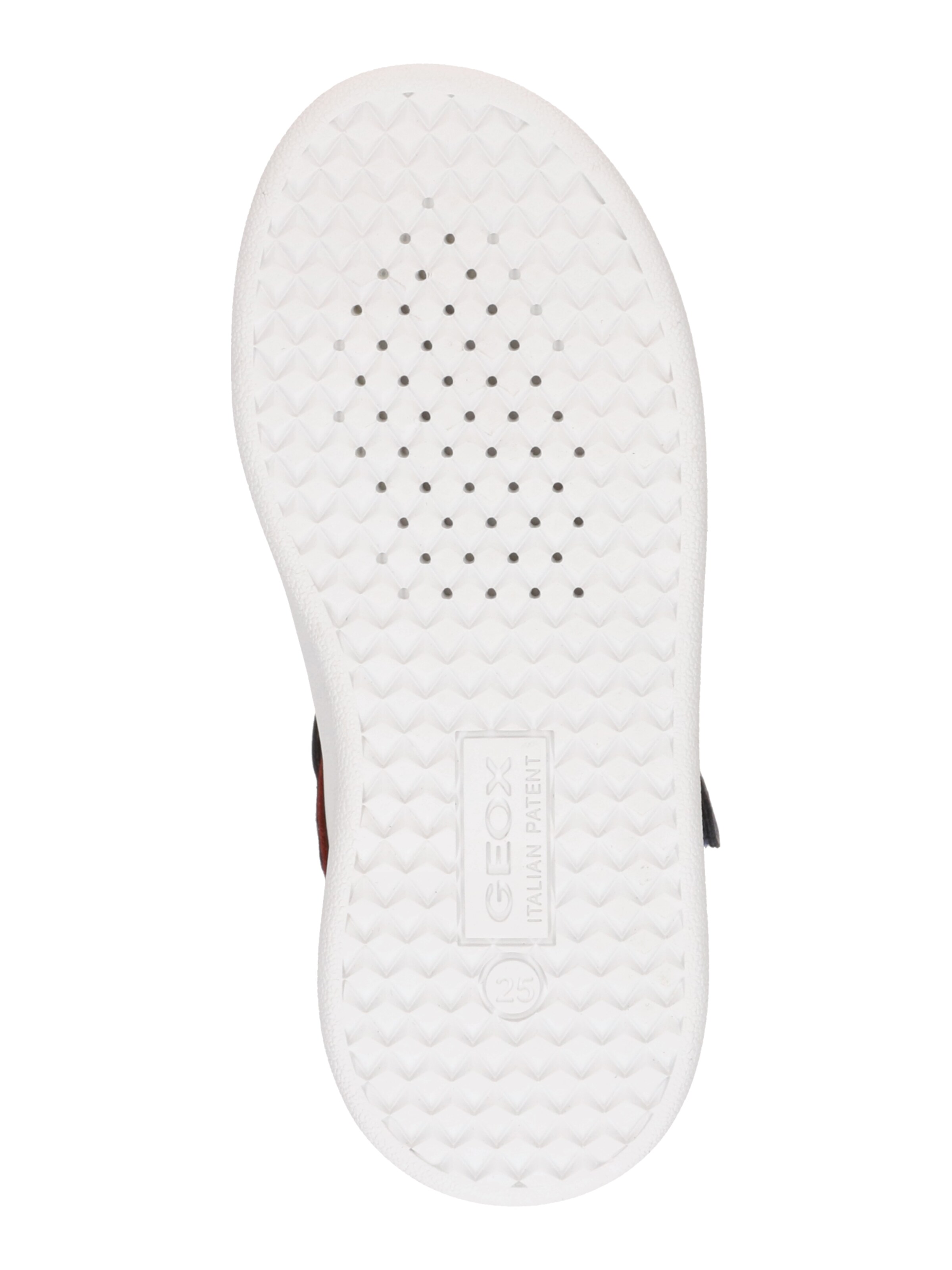 zils GEOX Brīvā laika apavi 'Washiba'