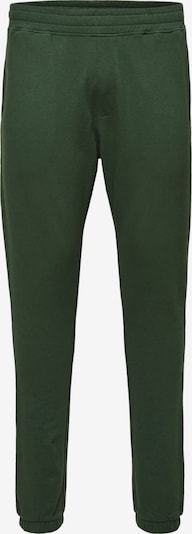 SELECTED Broek in de kleur Spar, Productweergave