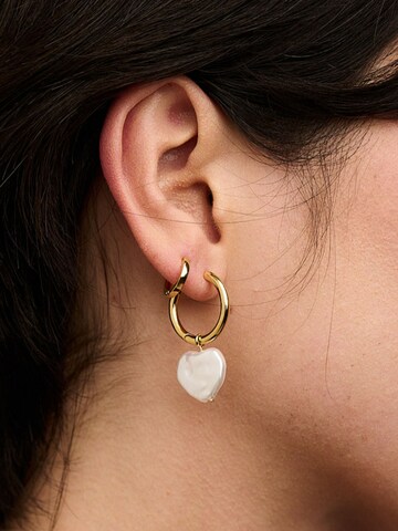 Orelia Earrings in Gold