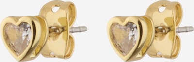 Ted Baker Naušnice 'HARMONY' u zlatna, Pregled proizvoda