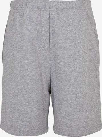 regular Pantaloni di Urban Classics in grigio