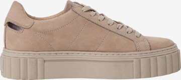 Baskets basses TAMARIS en beige