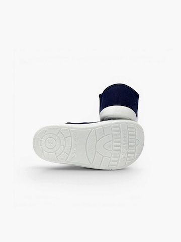 Pisamonas Sneaker‌‌‌‌‌‌‌‌ in Blau