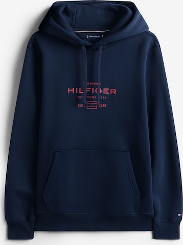 mėlyna TOMMY HILFIGER Megztinis be užsegimo: priekis
