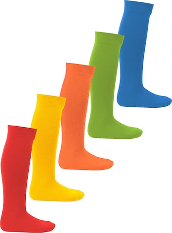 footstar Socks 'EVERYDAY!' in Mixed colors: front