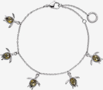 Paul Hewitt Armband 'Turtle' in Silber: predná strana