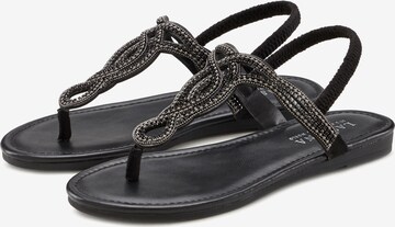 LASCANA Sandal i svart