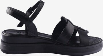 D.MoRo Shoes Sandals in Black