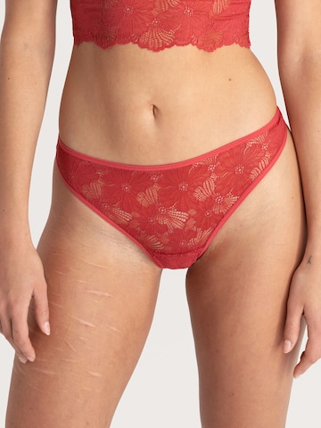 Slip 'Classy Lace' Erlich Textil en rouge : devant