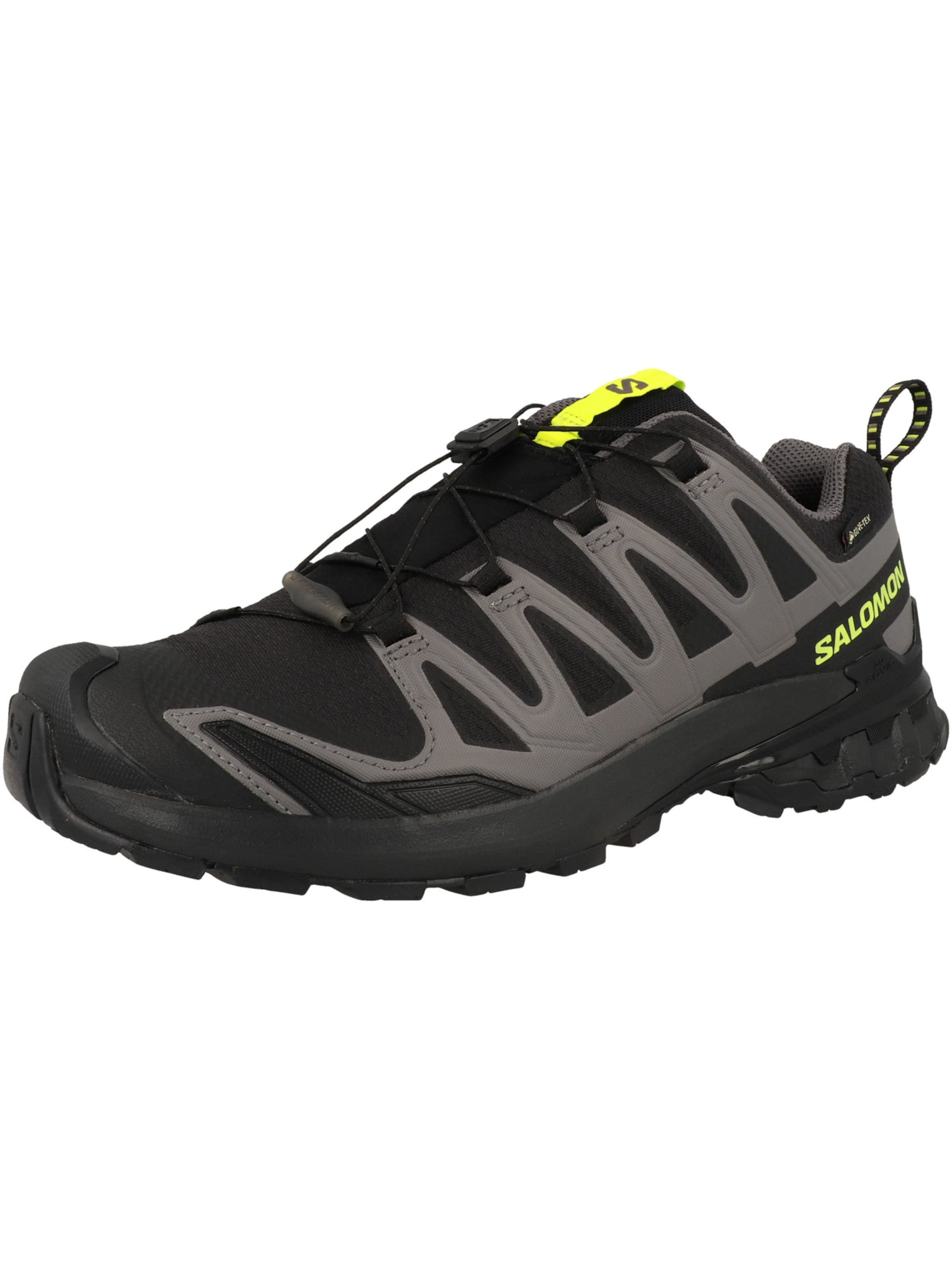 SALOMON Laufschuh 'XA Pro 3D V9' in Grau: Vorderseite