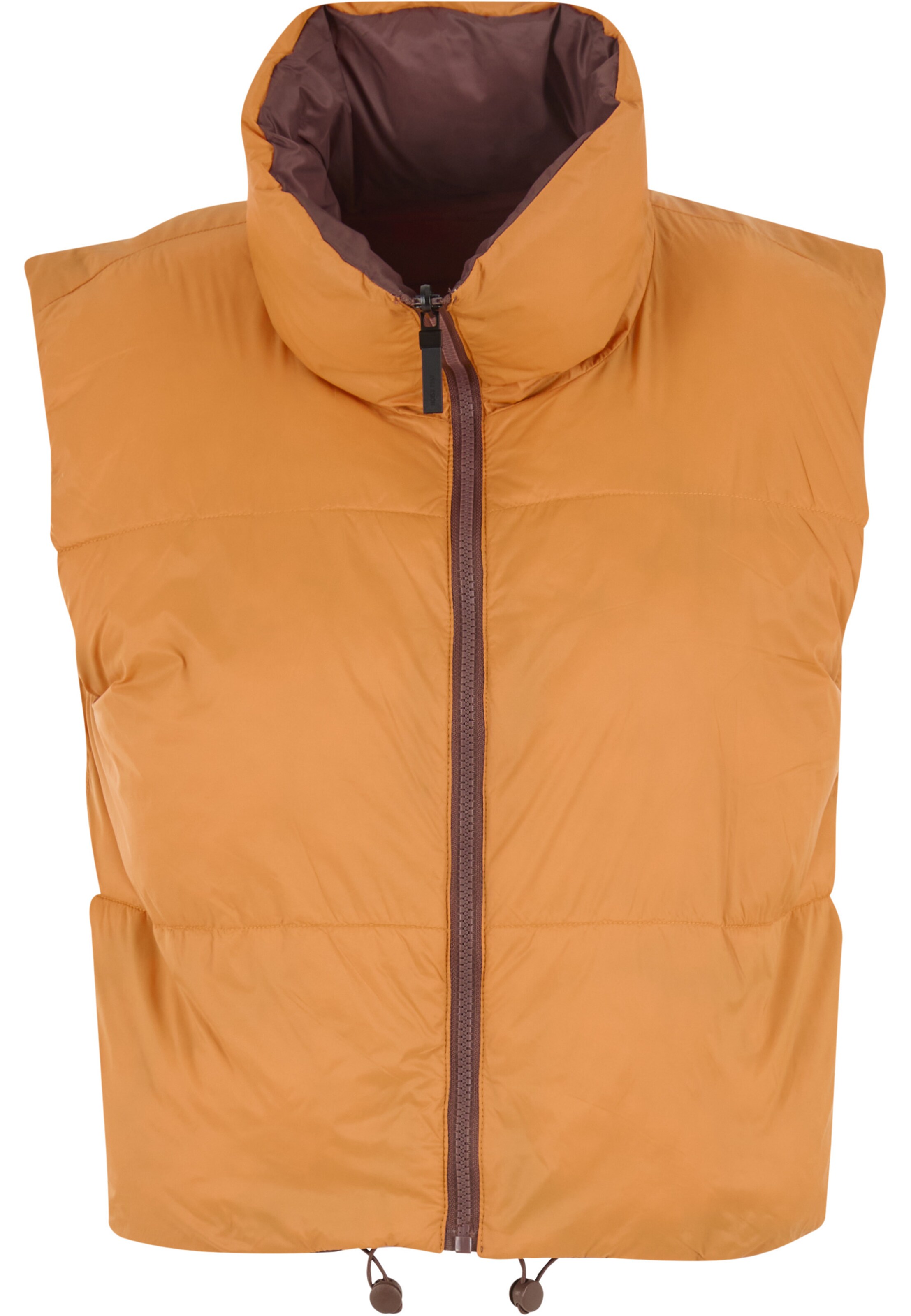 Noisy may Vest 'NMAles' in Brown