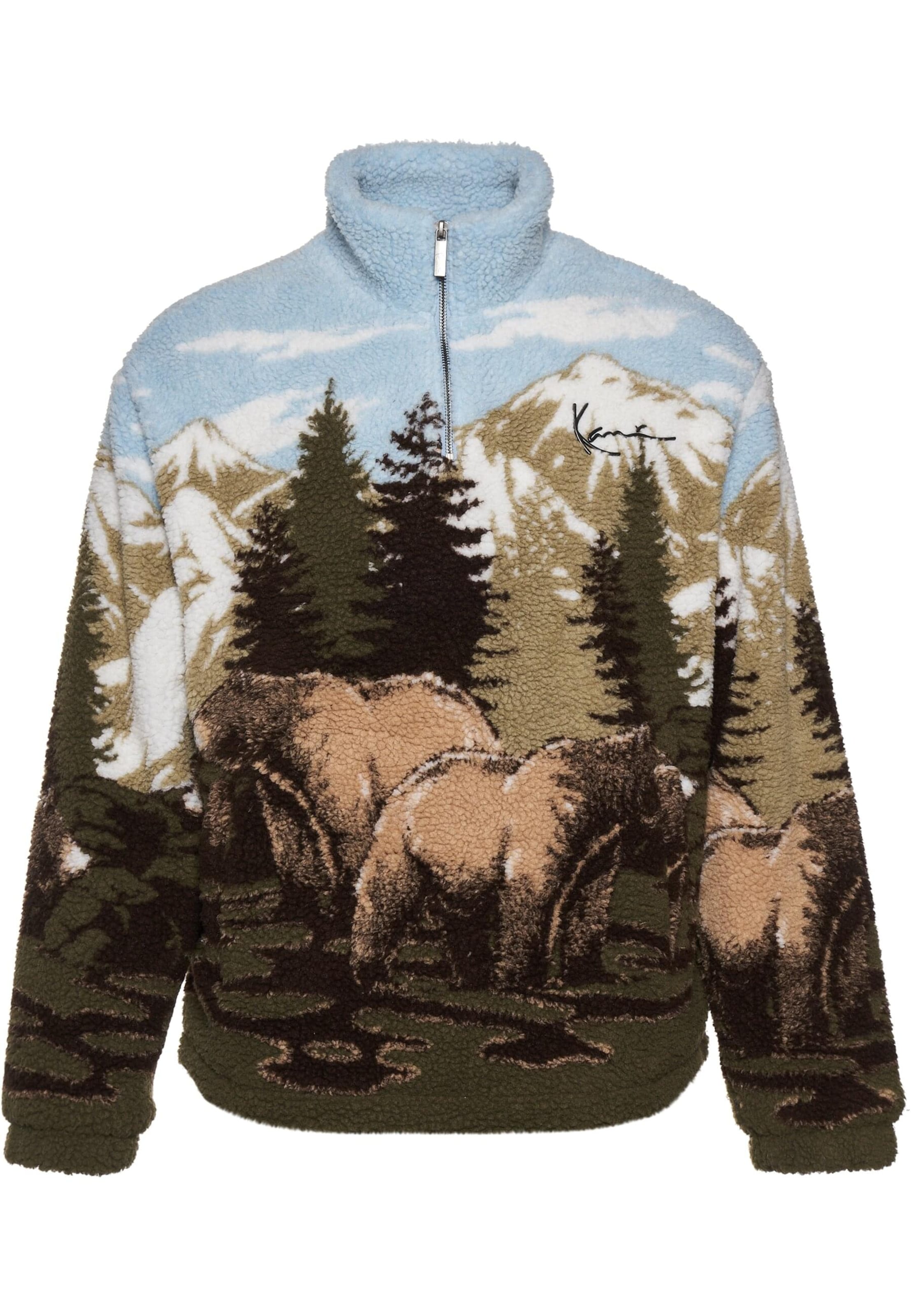 Karl Kani Sweatshirt in Green: front