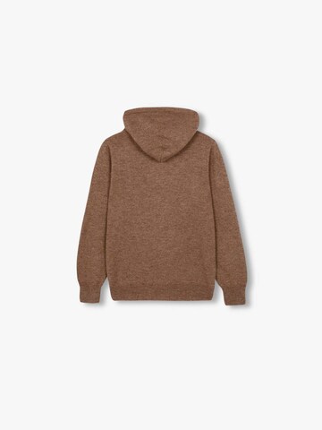 Scalpers Pullover in Braun