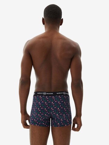 Boxers WESTMARK LONDON en mélange de couleurs