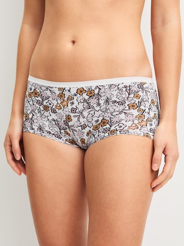 CALIDA Boyshorts 'Eco Sense' in Purple
