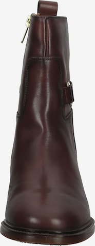 PIKOLINOS Ankle Boots in Brown