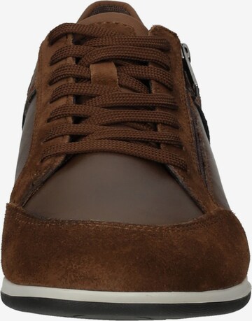 GEOX Sneakers laag in Bruin