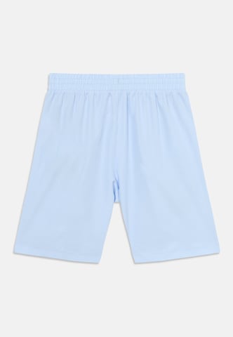 Regular Pantaloni sport de la NIKE pe albastru: spate