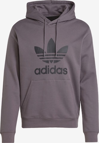 Felpa 'Adicolor Classics Trefoil' di ADIDAS ORIGINALS in grigio: frontale