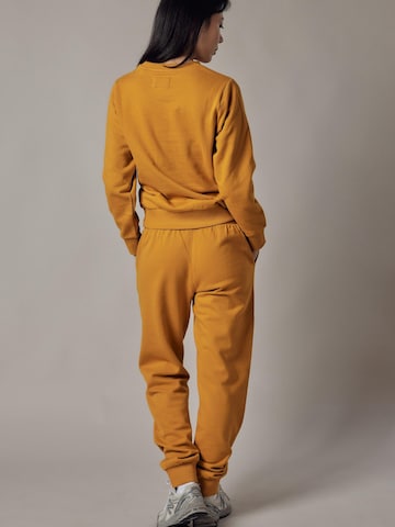 OWN Off With Nature Sweatshirt 'Felpa Felpata Girocollo' in Bruin