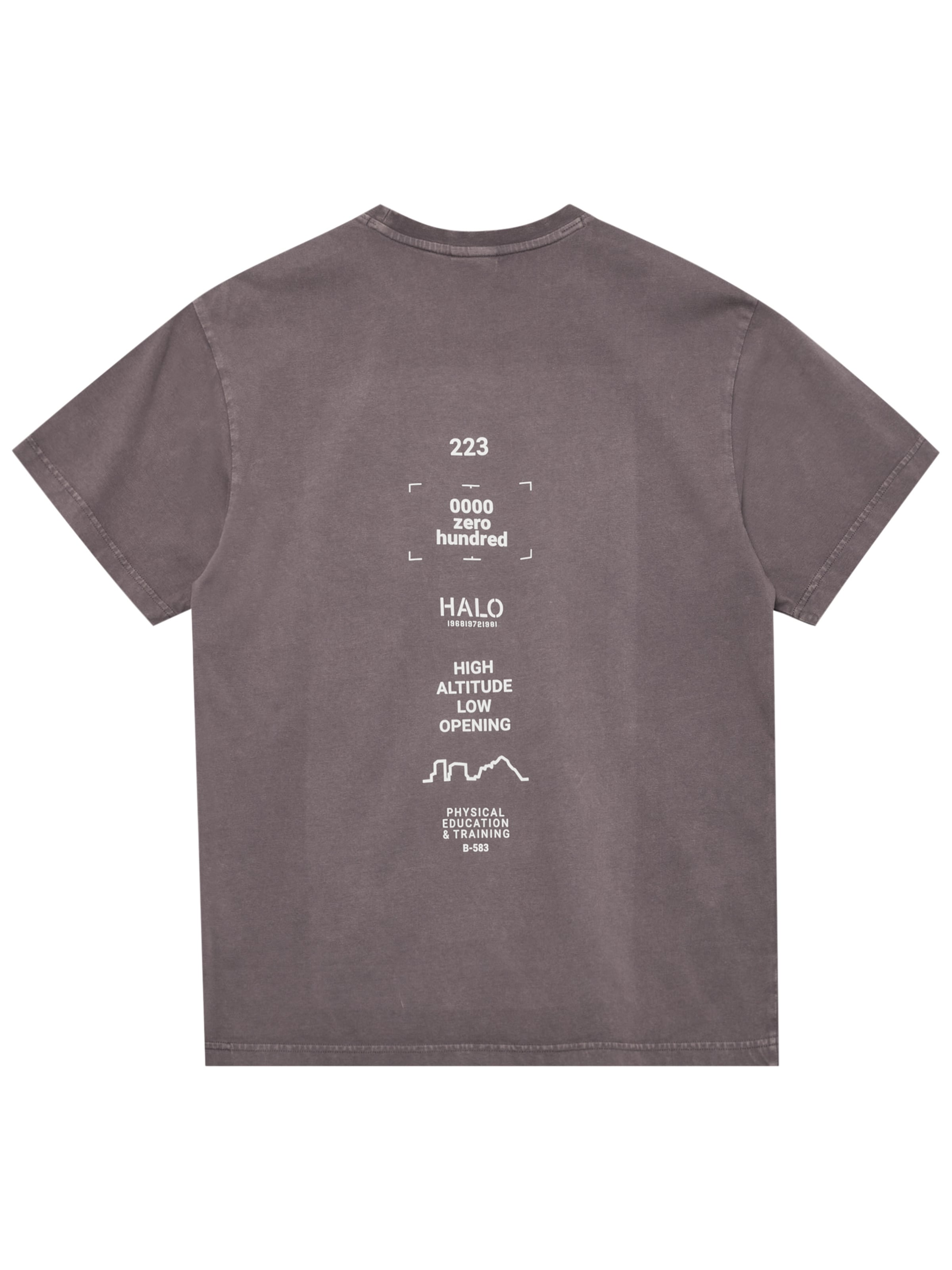 T-Shirt HALO en gris