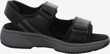 Xsensible Sandals in Black