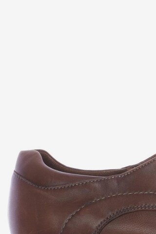 LLOYD Flats & Loafers in 41 in Brown