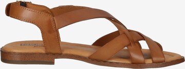 PIKOLINOS Sandalen met riem in Bruin