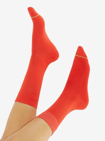 CHEERIO*Čarape 'Jackchec ' - crvena boja: prednji dio