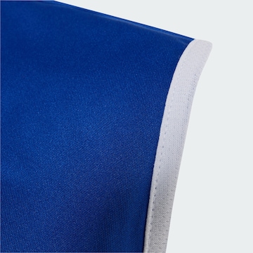 ADIDAS PERFORMANCE Performance shirt 'Entrada26' in Blue