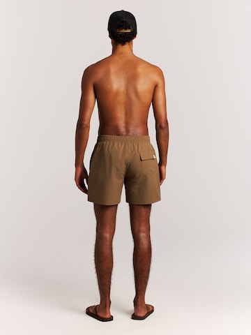 PROTEST Swimming shorts 'PRTAgden' in Brown