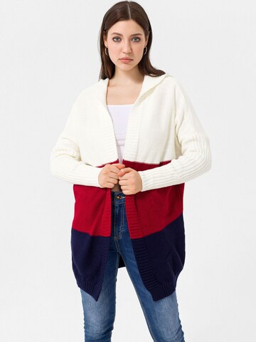 Dandalo Knit cardigan in Red: front