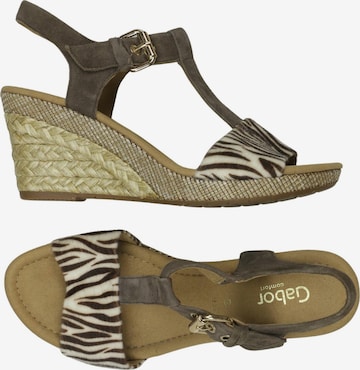GABOR Sandals & High-Heeled Sandals in 43,5 in Brown: front