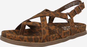 ruda Blowfish Malibu Basutės su dirželiais 'LUSTER 2': priekis