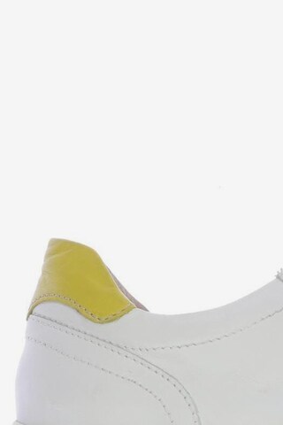 CINQUE Sneakers & Trainers in 42 in White