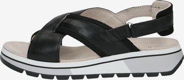 CAPRICE Sandals in Black