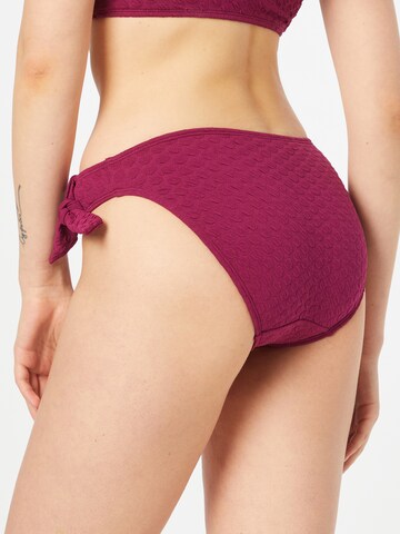 Bas de bikini LingaDore en violet