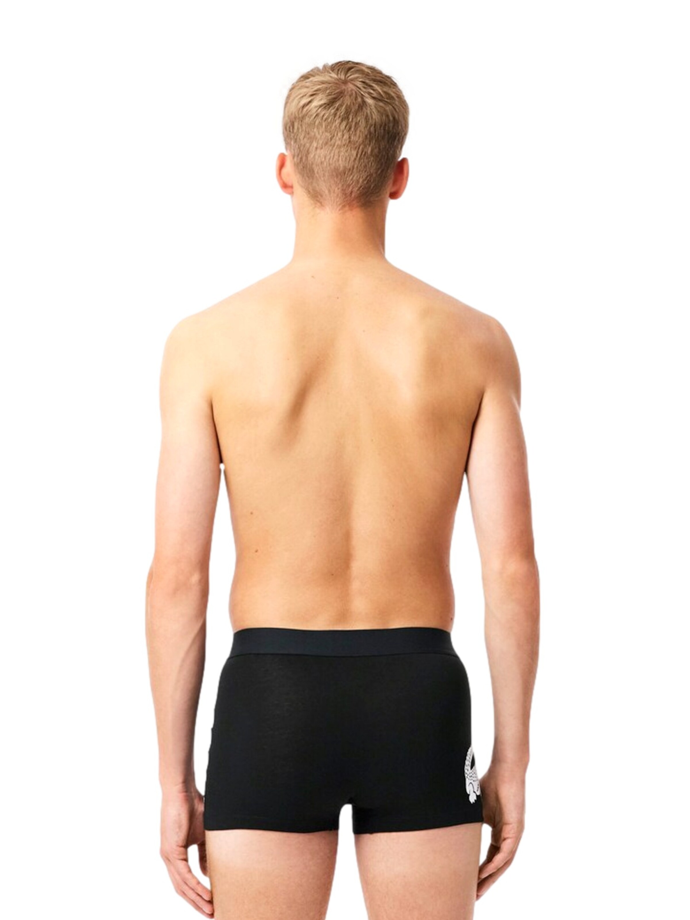 LACOSTE Boxershorts in Zwart