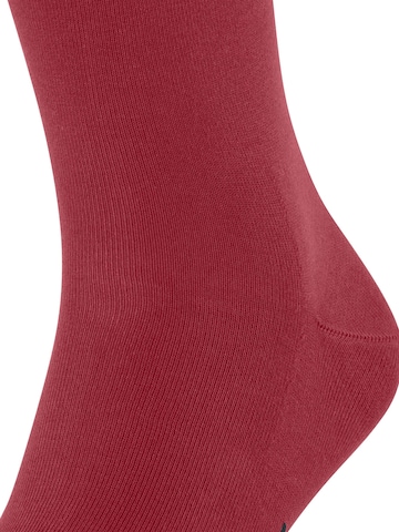 FALKE Socken 'Cool 24/7' in Rot: Vorderseite