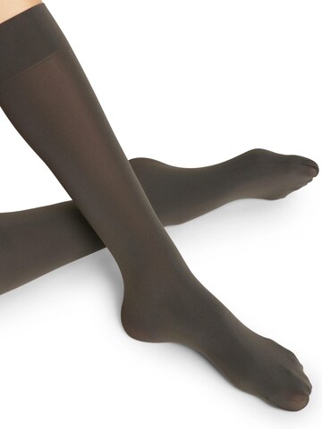 FALKE Overknee Strümpfe 'Pure Matt'‌‌‌‌‌‌‌‌‌‌ in Grau