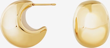 Breil Ohrringe in Gold: Vorderseite