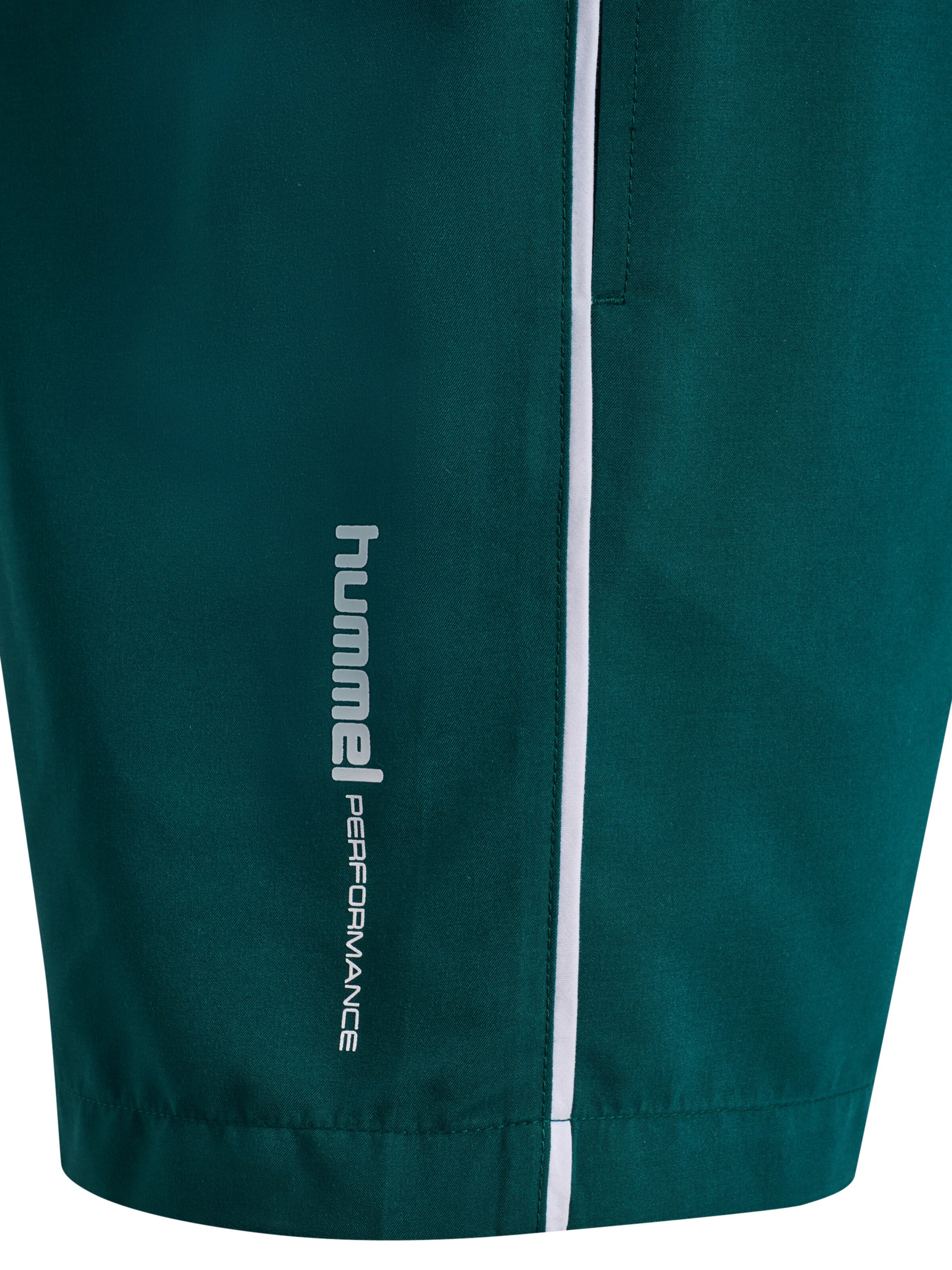 Hummel Swimming Trunks 'Pulse' in Green