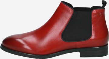 CAPRICE Chelsea Boots in Rot
