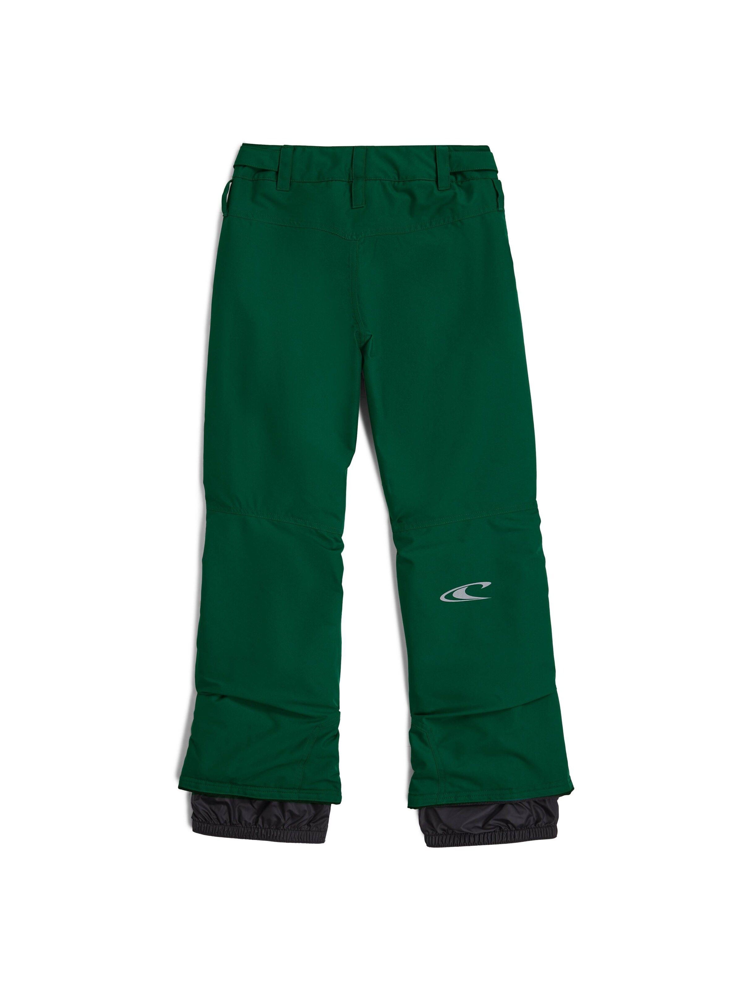 Regular Pantaloni outdoor de la O'NEILL pe verde