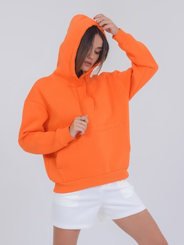FRESHLIONS Sweatshirt ' Balina ' in Oranje