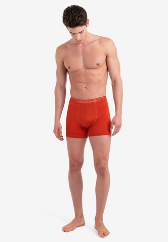 ICEBREAKER Sportunterhose 'Anatomica' in Rot