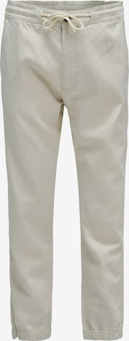 Salsa Jeans Slim fit Chino Pants in Beige: front