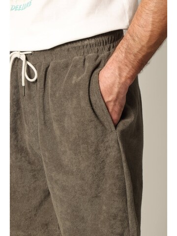 Deeluxe Regular Shorts 'Narciso' in Braun