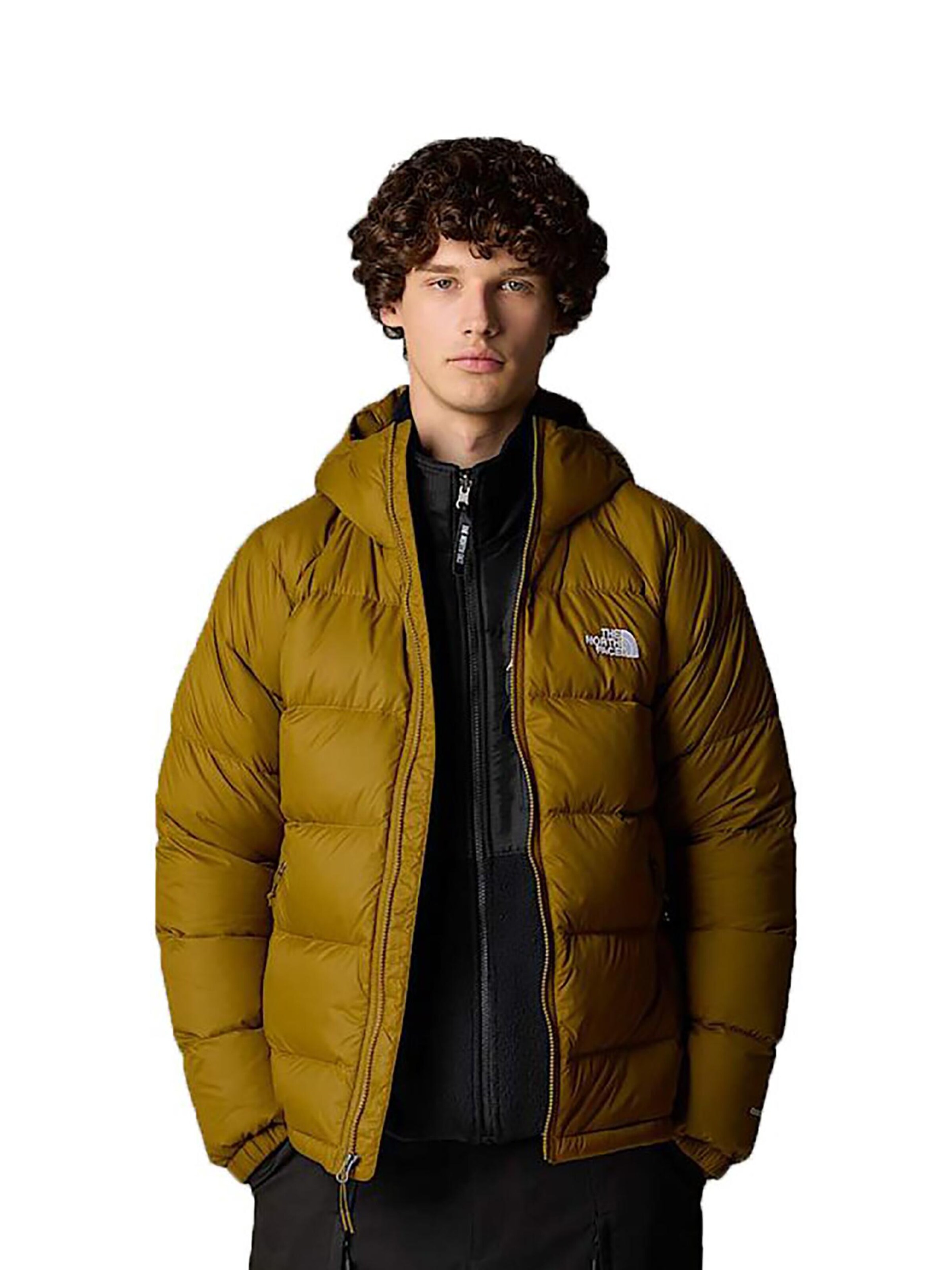 THE NORTH FACE Winter Jacket 'Hydrenalite Down' in Green: front